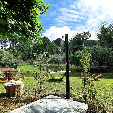 A14 La Dama Del Bosco