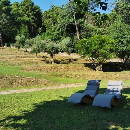 A14 La Dama Del Bosco Bed & Breakfast