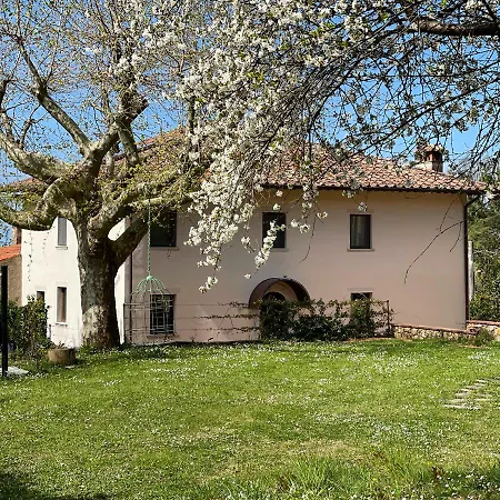 A14 La Dama Del Bosco Bed & Breakfast *